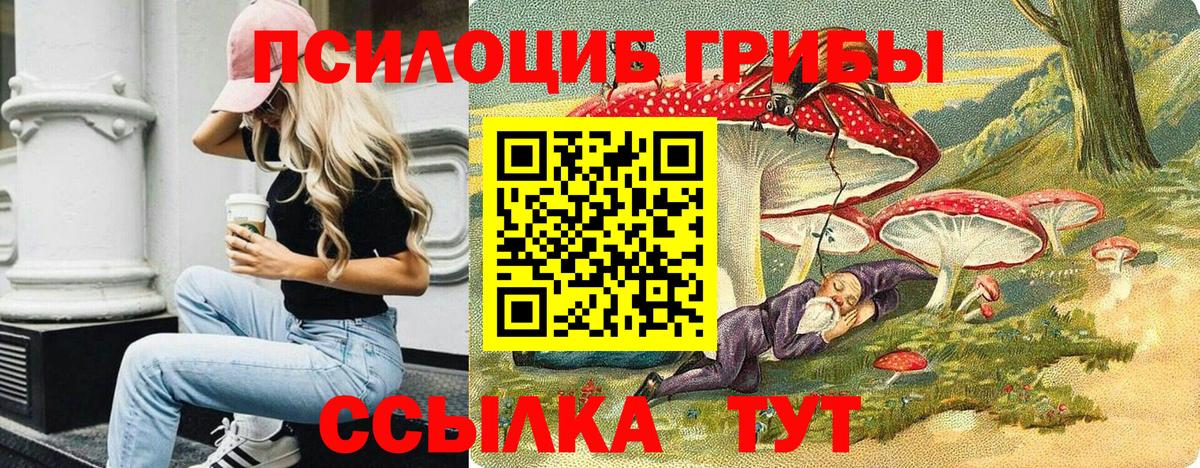 Мирный  Псилоцибиновые грибы Psilocybe  Вход с VPN 