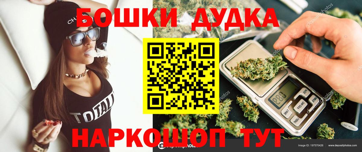 Конопля сатива Мирный
