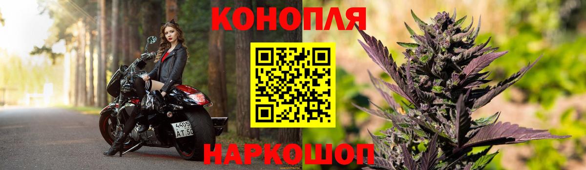 Конопля планчик  Шишки марихуана тримм  Мирный  Вход с VPN  МАРИХУАНА тримм 